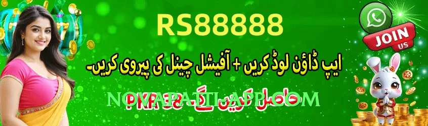 Best tojaybet Interface