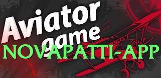 tojaybet Expert Interface